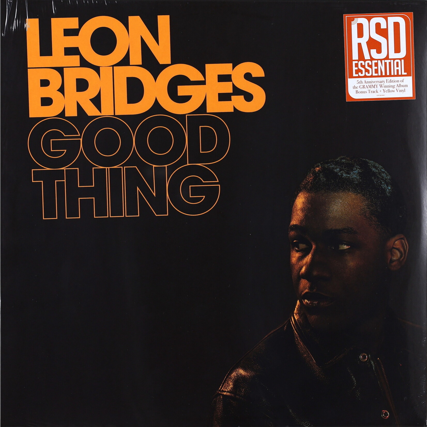 BRIDGES, LEON - GOOD THING - LP