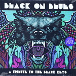 BLACK ON BLUES - A TRIBUTE TO THE BLACK KEYS - USA IMPORT LP