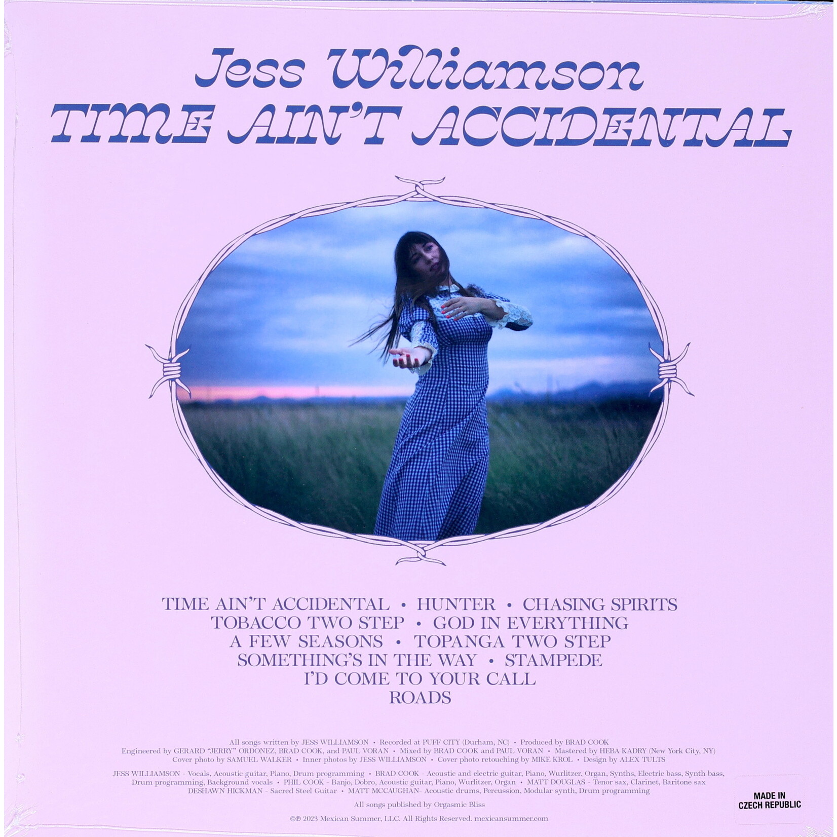 WILLIAMSON, JESS - TIME AIN'T ACCIDENTAL - LP