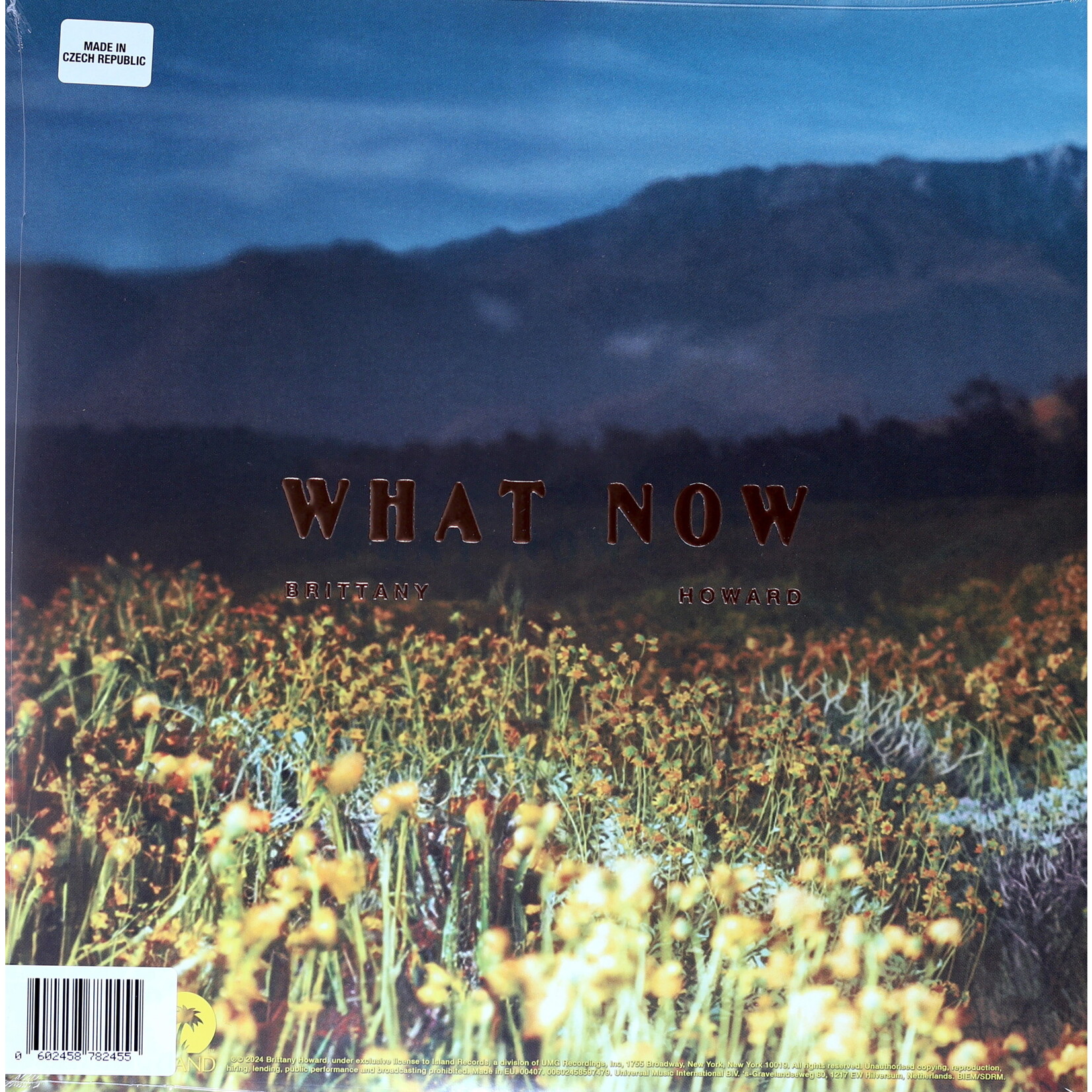 HOWARD, BRITTANY - WHAT NOW - LTD GATEFOLD COLORED YELLOW LP