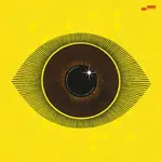 NDEGEOCELLO, ME'SHELL - NO MORE WATER: THE GOSPEL OF JAMES BALDWIN - GATEFOLD 2LP