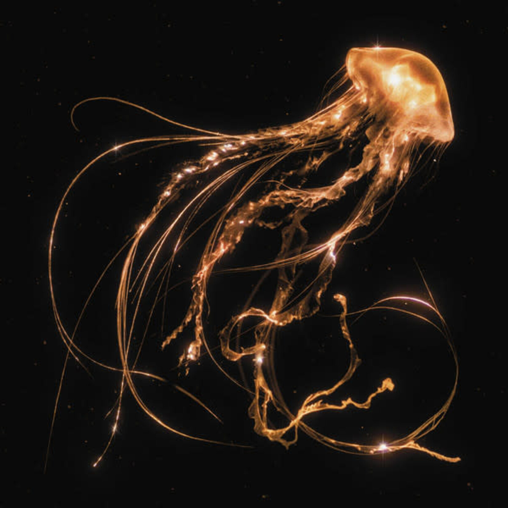 ROYAL BLOOD - BACK TO THE WATER BELOW - LP