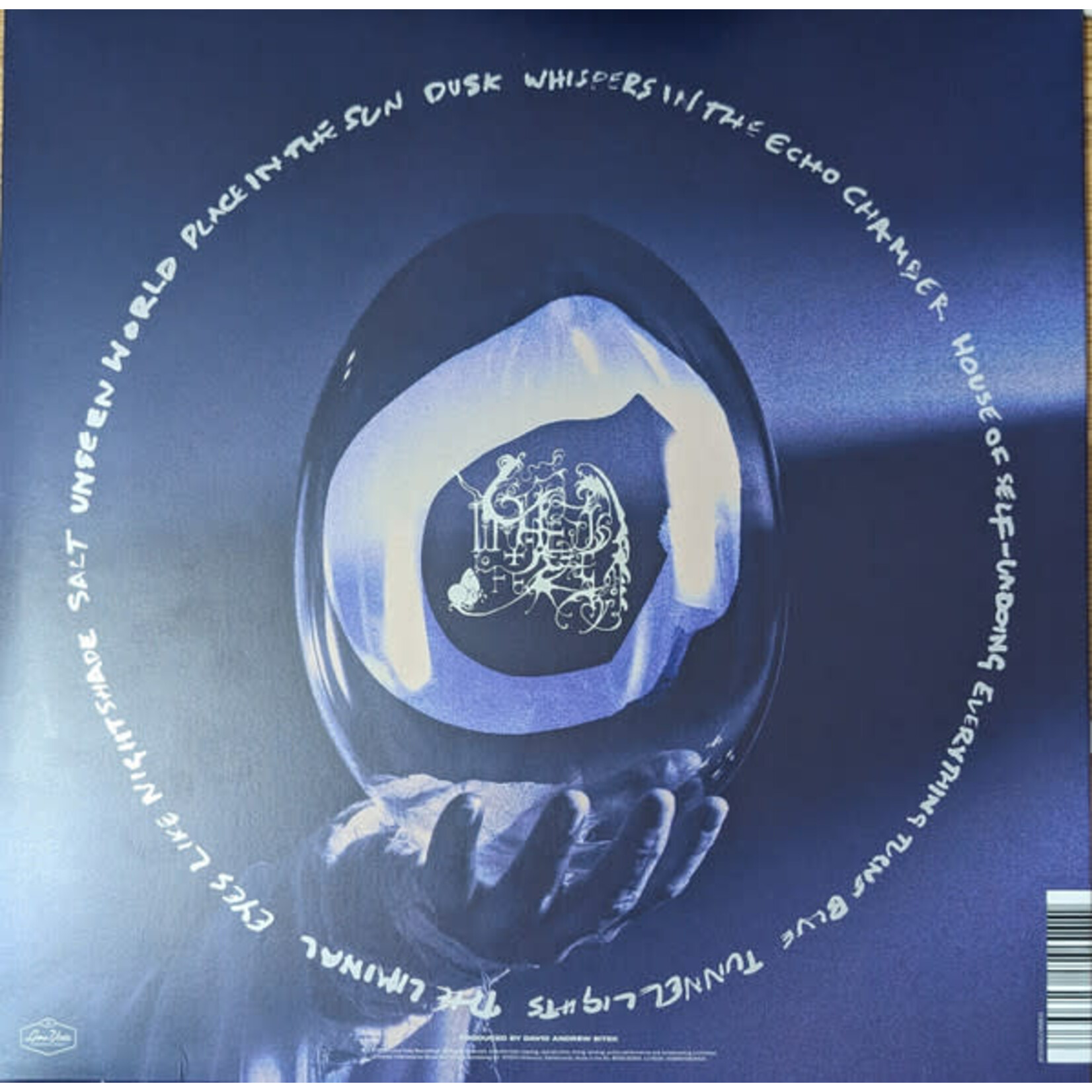 WOLFE, CHELSEA - SHE REACHES OUT TO SHE REACHES OUT TO SHE - LTD COLORED CLEAR LP