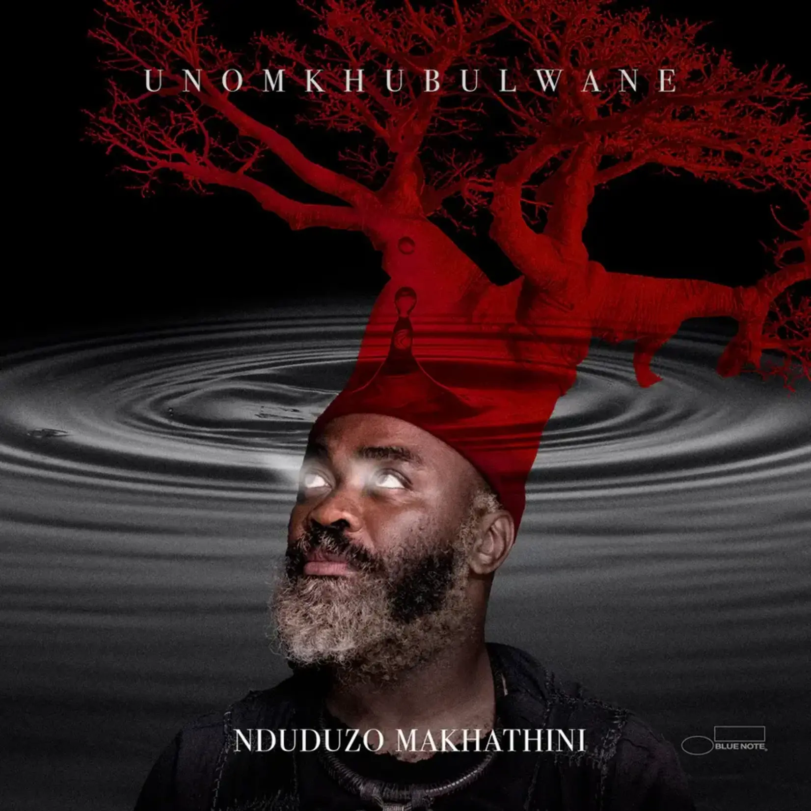 MAKHATHINI, NDUDUZO - UNOMKHUBULWANE - GATEFOLD 2LP