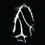 SEEFEEL - EVERYTHING SQUARED - LP