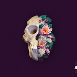 POHJOLA, VERNERI - MONKEY MIND - LTD LP