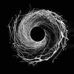 DAWN OF MIDI - DYSNOMIA - LP