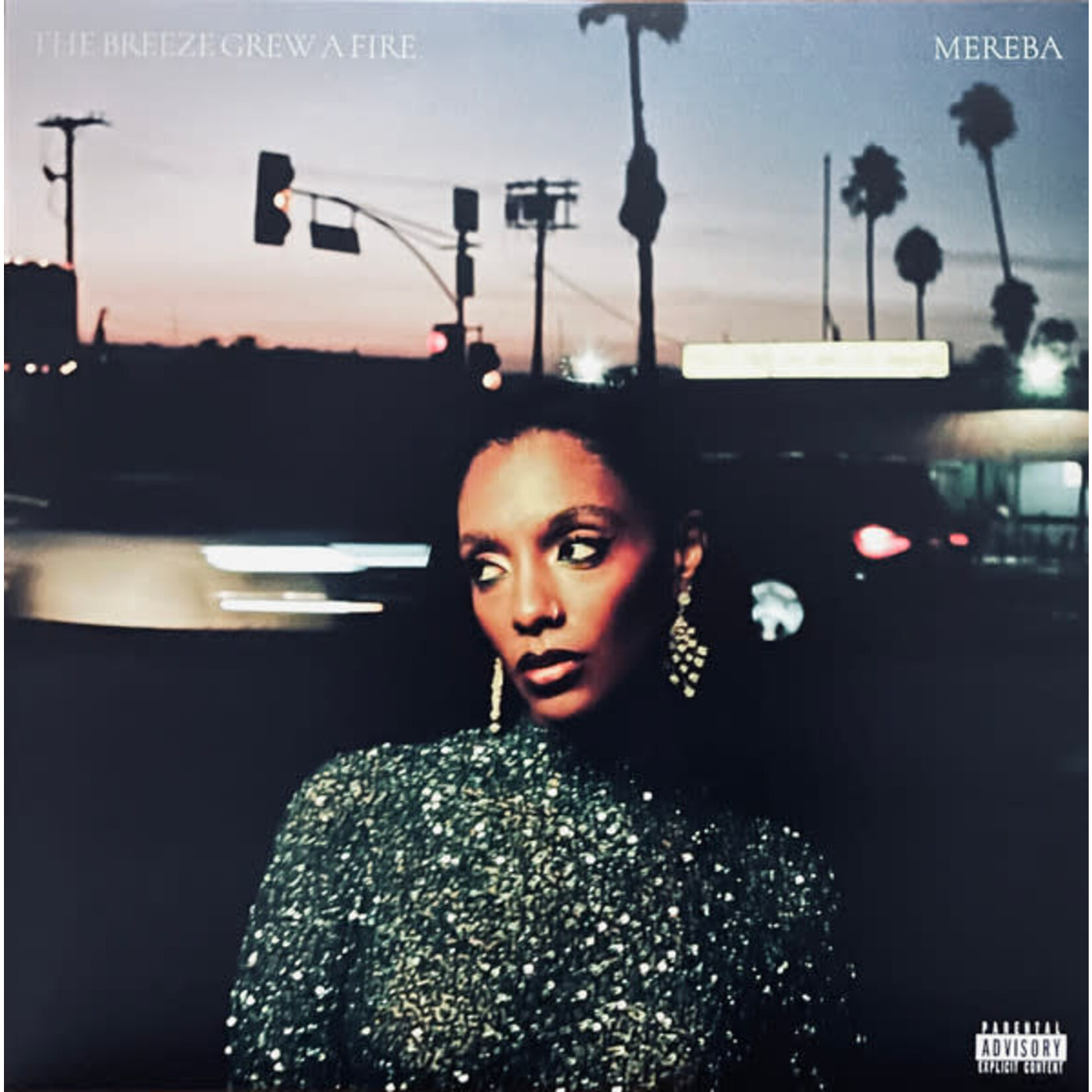 MEREBA - THE BREEZE GREW A FIRE - LP
