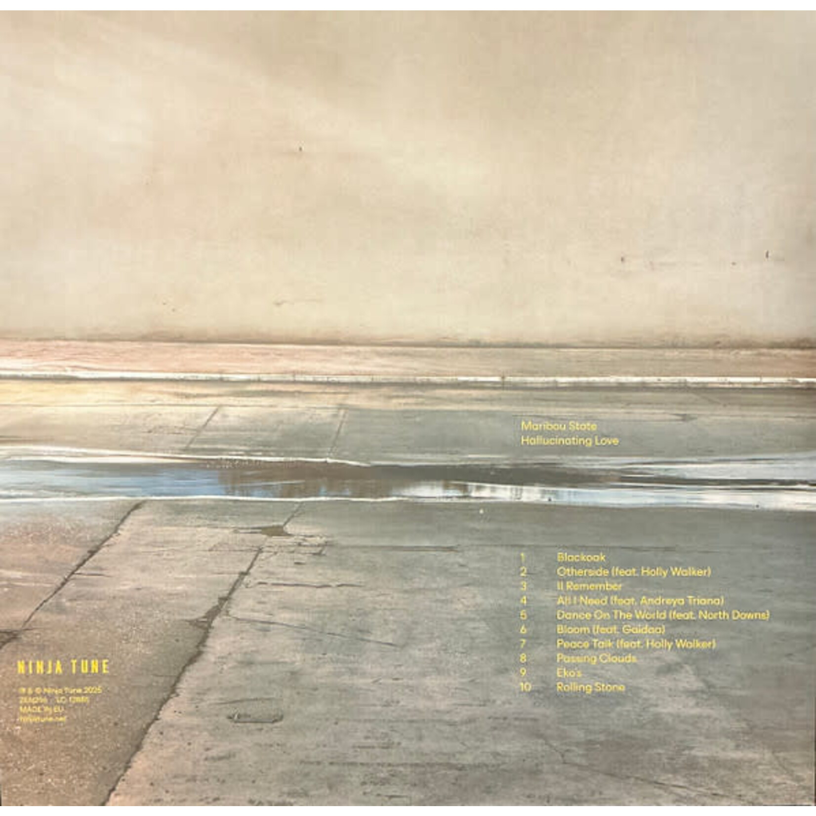 MARIBOU STATE - HALLUCINATING LOVE - LTD GATEFOLD COLORED LP
