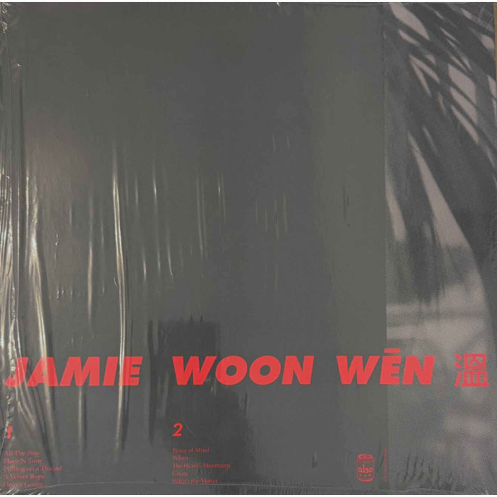 JAMIE WOON - 3,10, WHY, WHEN - LP