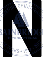 Bainbridge Marine Sail Letter 300mm - N