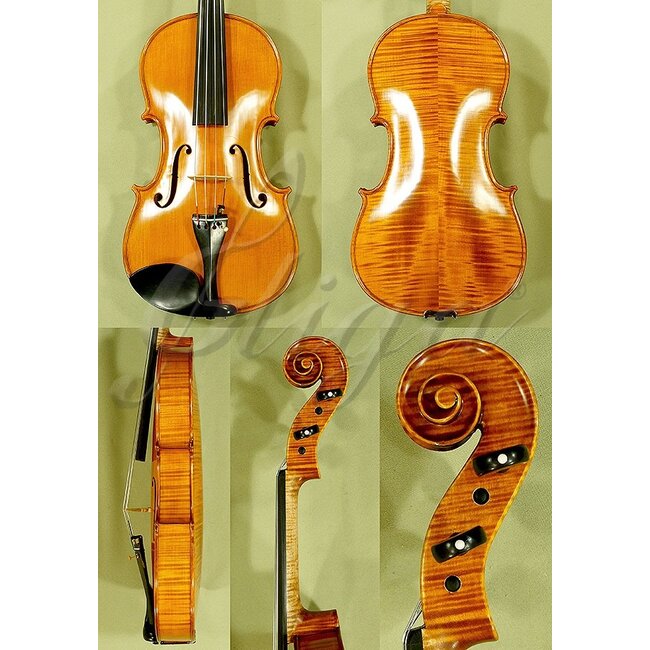 GAMA viola