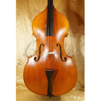 Gliga Contrabas type GEMS-2 Set