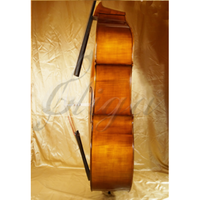 Double bass type GEMS-2 set