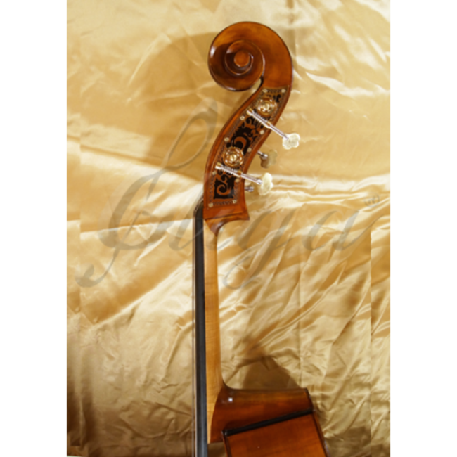 Double bassset type GEMS-2