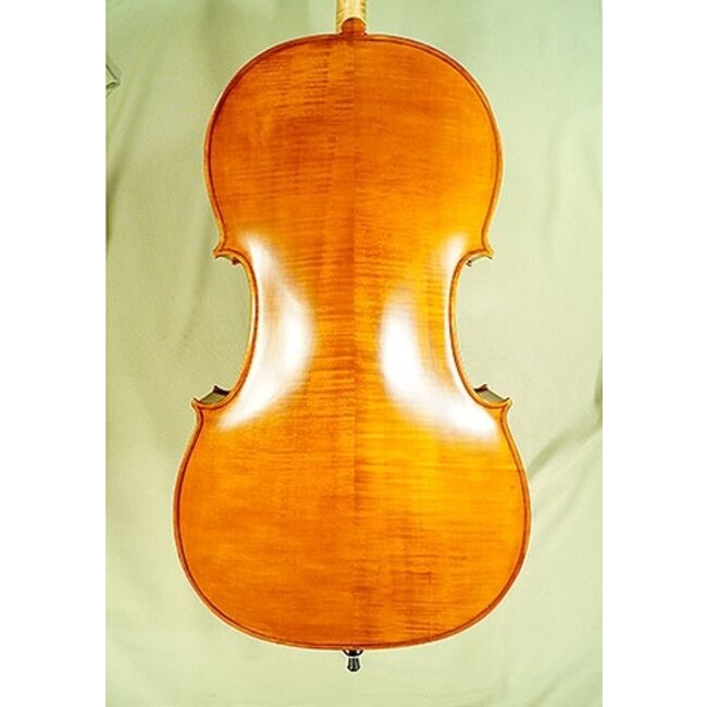 Gliga GEMS-1 cello