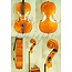 Gliga GEMS-1 cello