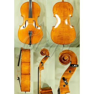 Gliga GAMA 4/4 cello