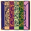 Passione violin strings