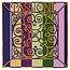 Passione Solo violin strings