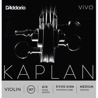 Kaplan Vivo violin strings