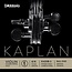 Kaplan  E-strings