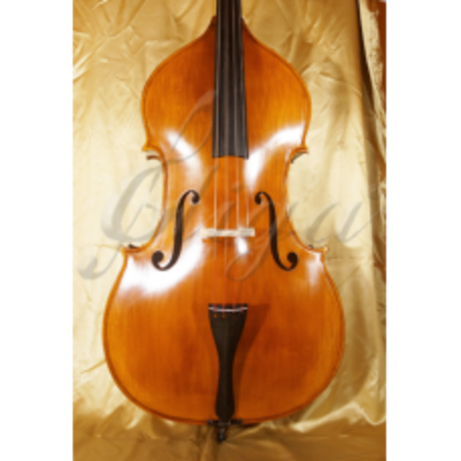 Gliga Double bass type GEMS-1