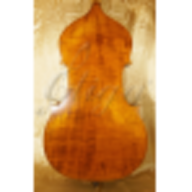 Double bass type GEMS-1