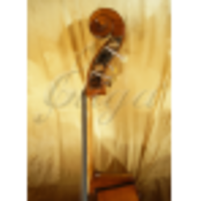 Kontrabass Typ GEMS-1