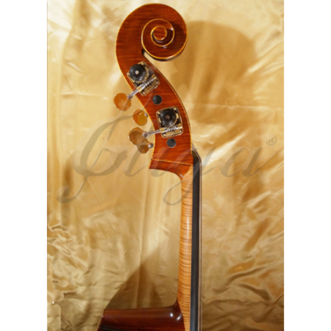 Double bass type GAMA