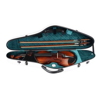 Aileen Violin case