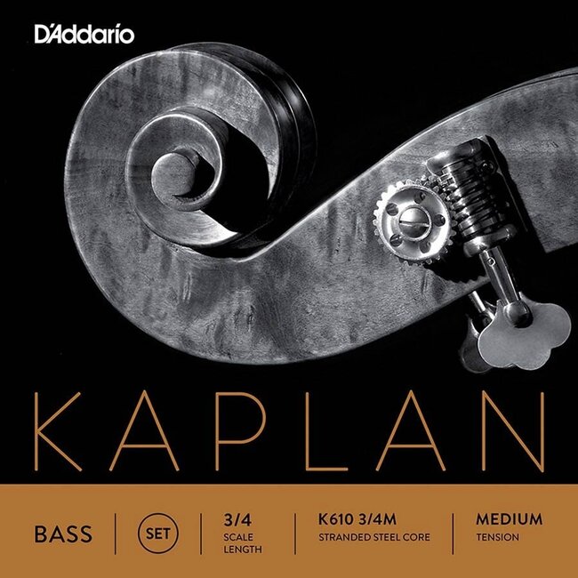 Kaplan Orchestra contrabassnaren (3/4)