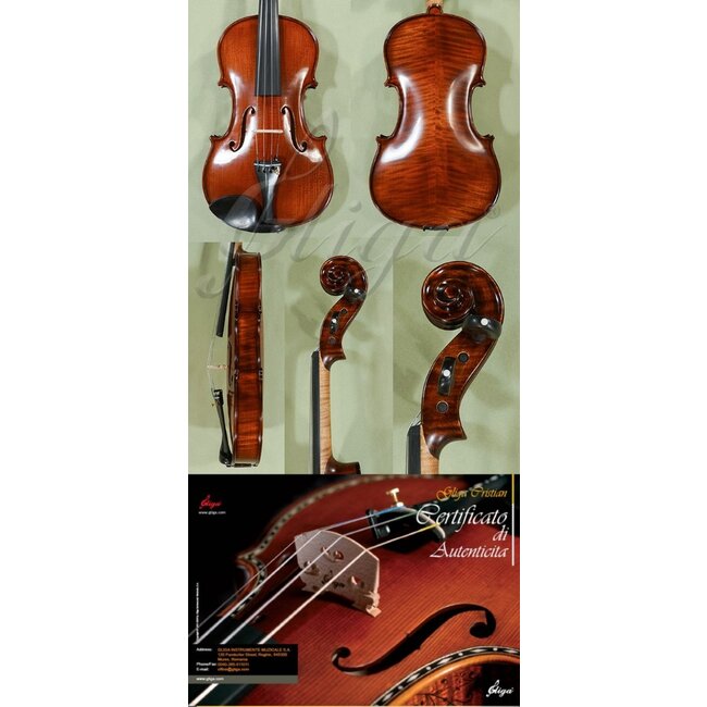 Gliga MAESTRO violin