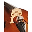 Pick-up system SH965NFX for double bass