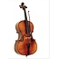 Postcard violin, cello or double bass