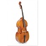 Vienna World Postkaart viool, cello of contrabas