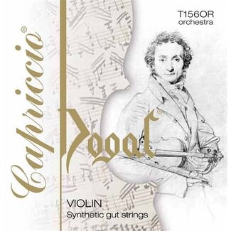 Dogal Capriccio violin strings Orchestra & Soloist (4/4)
