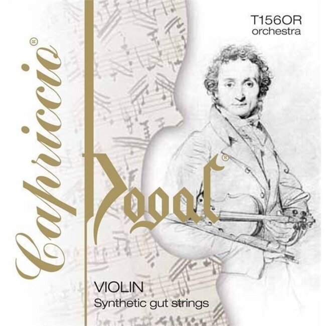 Dogal Capriccio vioolsnaren Orchestra & Soloist (4/4)