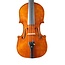 Guadagnini (model) violin (2022)