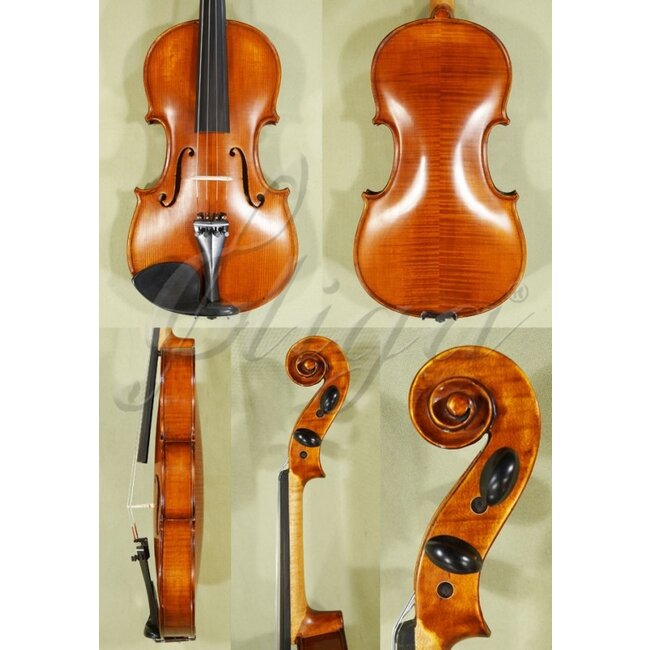 GEMS-2 violin