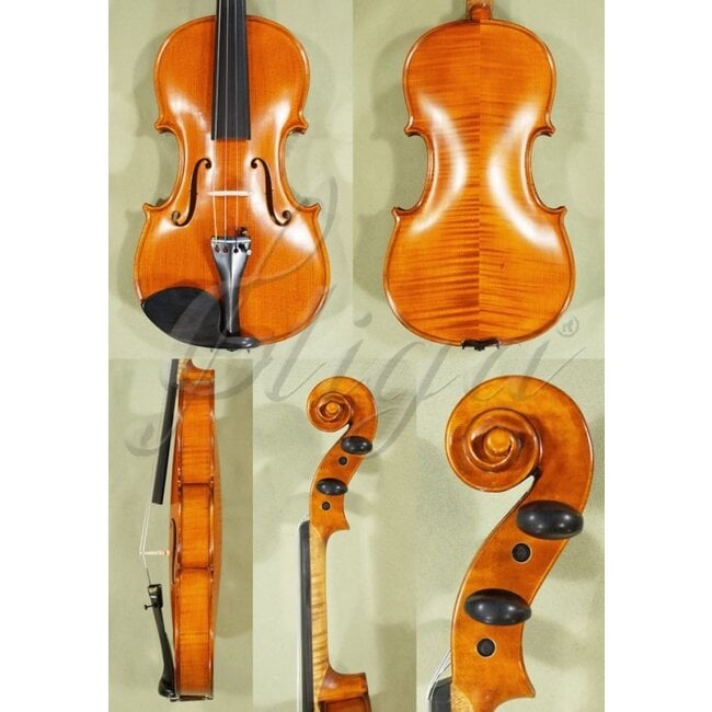 GEMS-1 violin