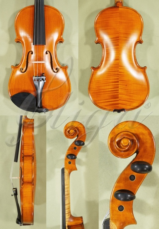 gliga-gems-1-violin.jpg