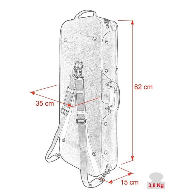 Kombikoffer für 2 Instrumente