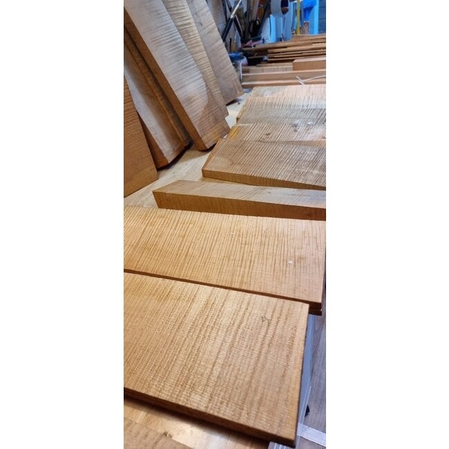 Viool of altviool gebouwd op bestelling