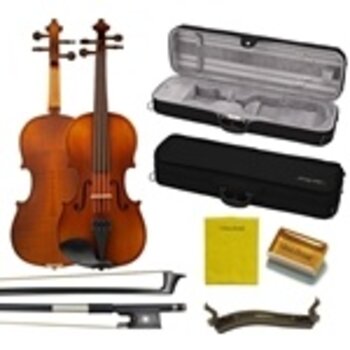 Violin rental