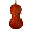 Ornella Ceci Violin "Apollo"  - Guarneri model
