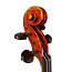 Ornella Ceci Violin "Apollo"  - Guarneri model