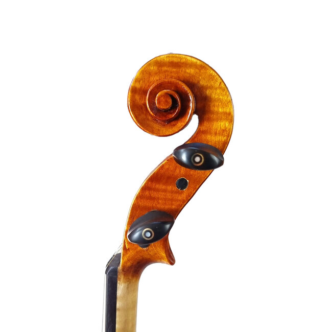 Guadagnini (Model) Lila (2022)