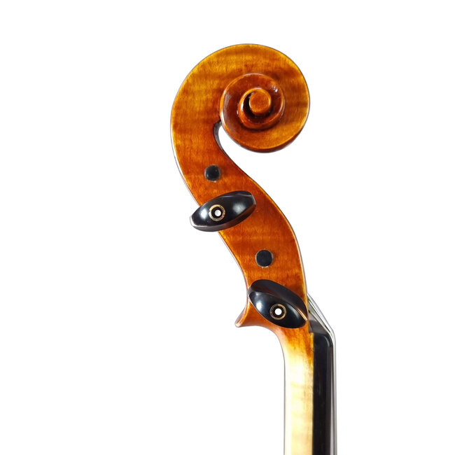 Guadagnini (Model) Lila (2022)