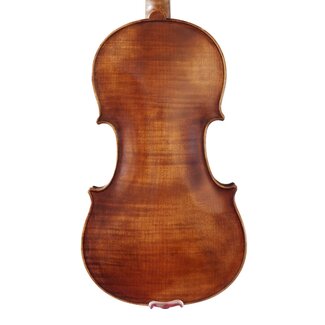 Aileen Viool 4/4 Volwassen, Viool Beginner met Briljante Antieke